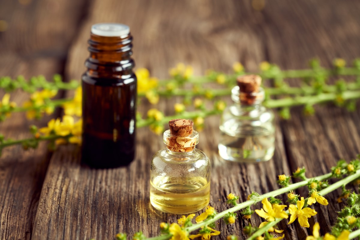 Rebusan burdock pekat dalam botol