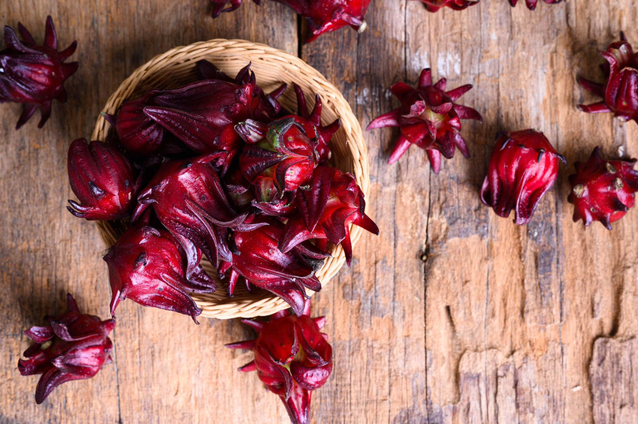 Kelopak bunga berdaging dari Hibiscus sabdariffa