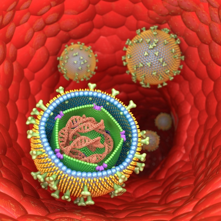 Representasi 3D struktur virus Epstein-Barr (mononukleosis menular) dalam sel manusia