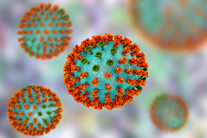 Model virus influenza