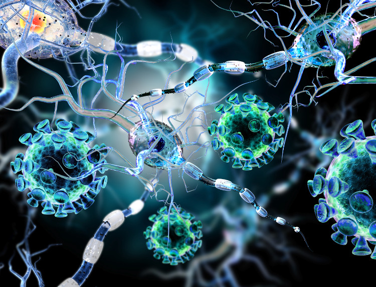 representasi mikroskopis dari sel-sel sistem saraf neuron