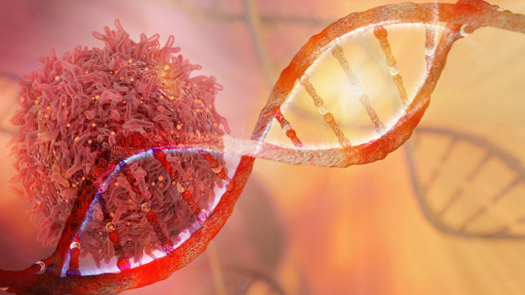 sel tumor pada DNA