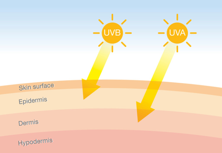 radiasi ultraviolet yang menembus kulit, representasi skematis