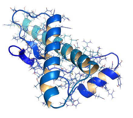 struktur mikroskopis protein prion