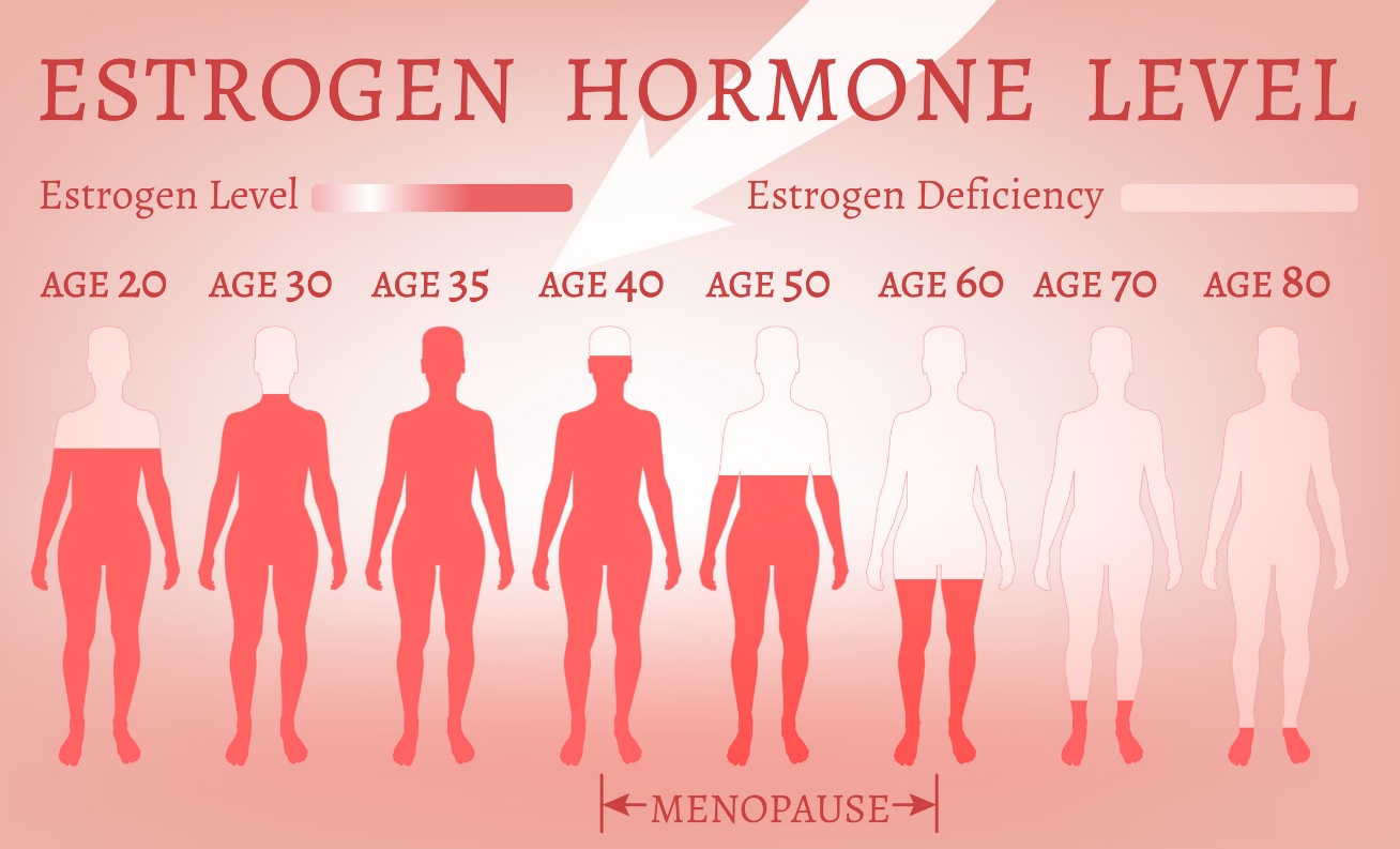 Kadar estrogen sebagai fungsi usia