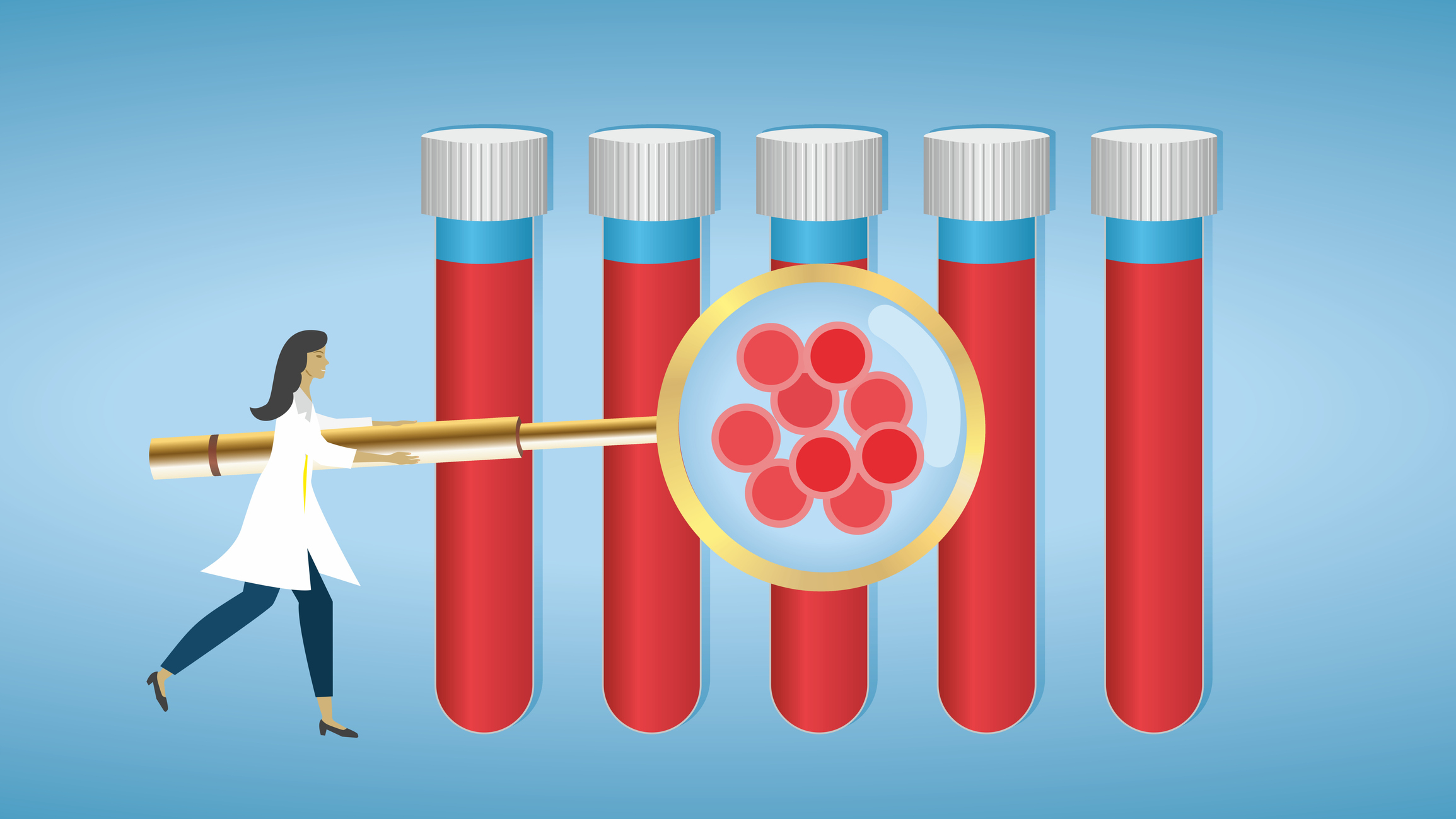 Zat besi adalah komponen penting dari hemoglobin, pigmen merah yang ditemukan dalam sel darah merah.