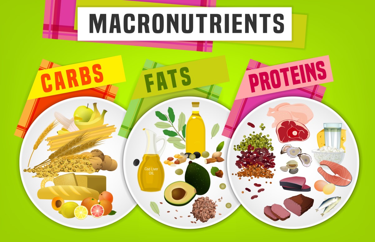 Makronutrien - gula, lemak, protein - animasi piring dan makanan dengan nutrisi yang diberikan