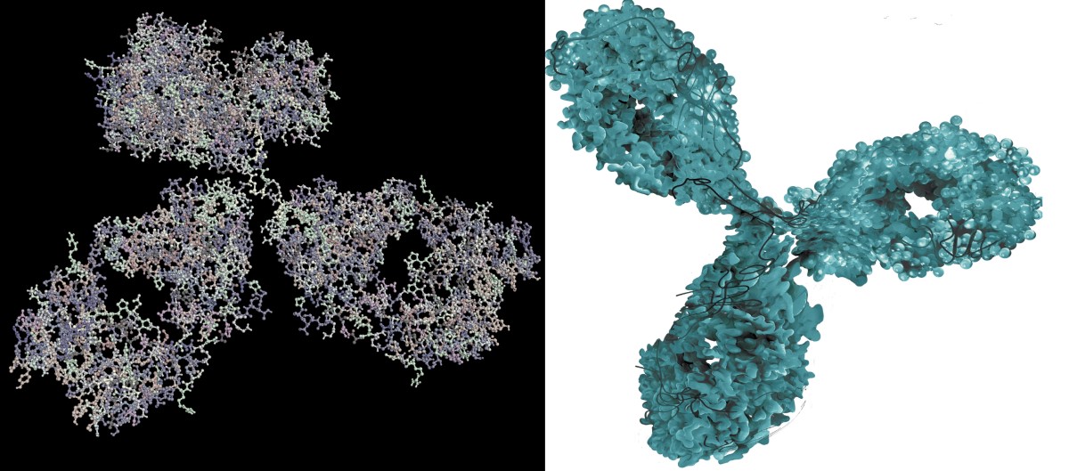 Pencitraan molekuler antibodi monoklonal - obat biologis