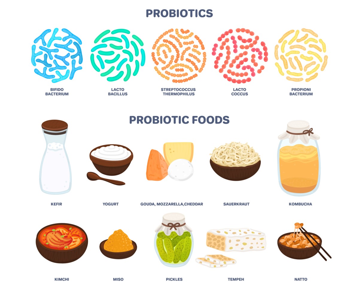 Probiotik: probiotik dalam makanan yang mengubah keseimbangan bakteri dan fungsi saluran pencernaan - kefir, yogurt, keju - gouda, mozzarella, cheddar, kombucha, kimchi, acar, dll.