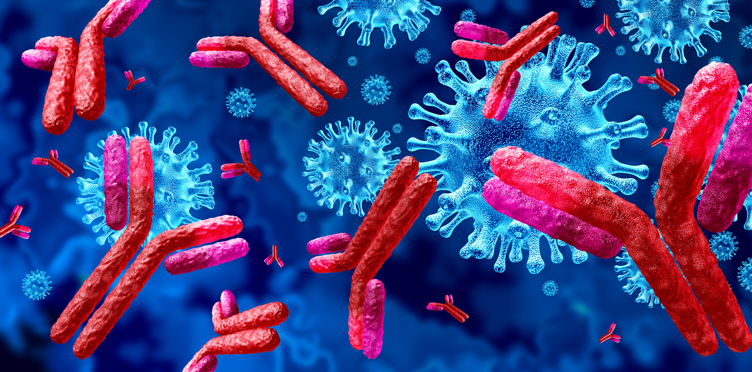 Model 3D antibodi yang menyerang virus asing.