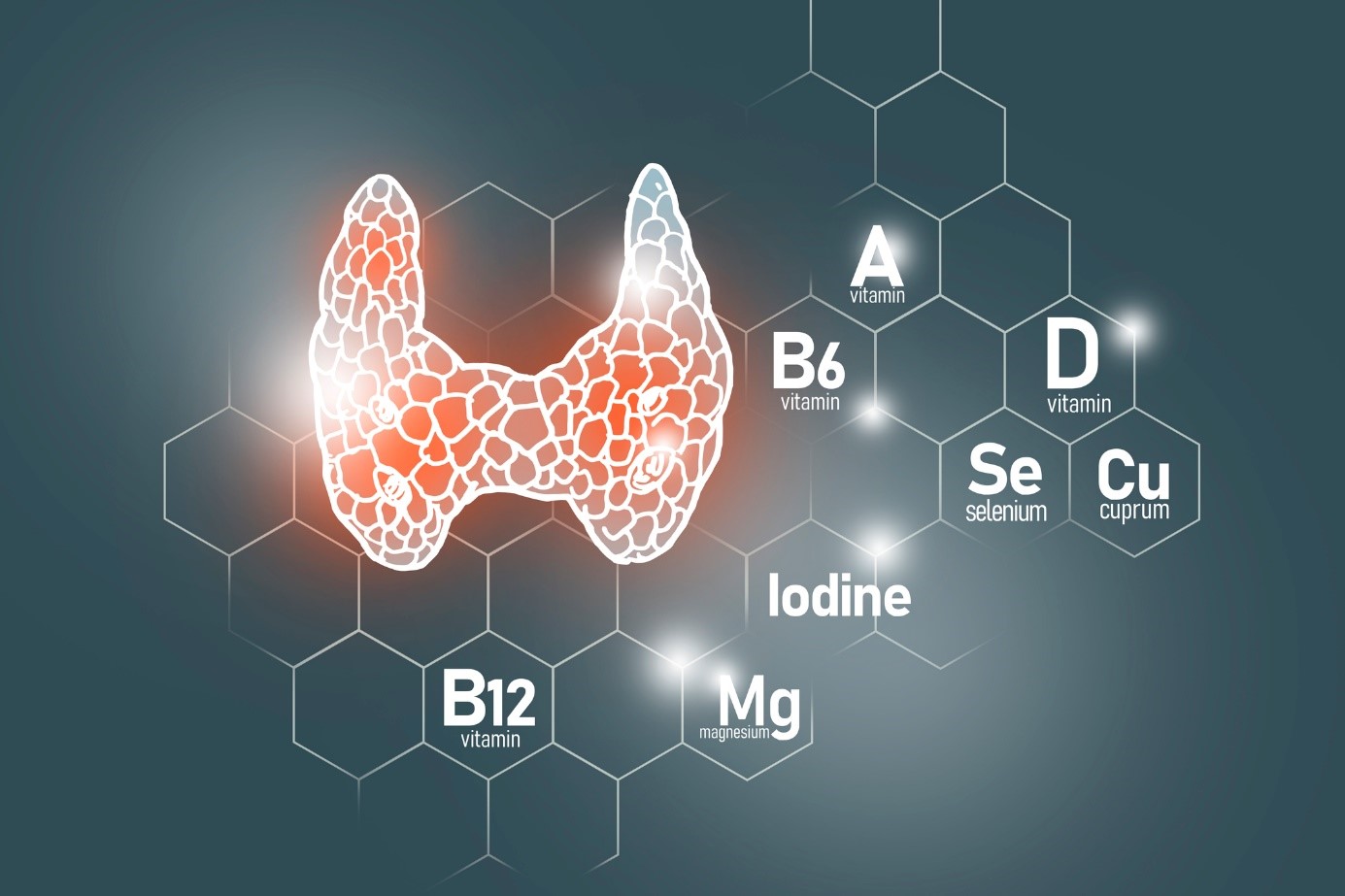 Selenium sebagai elemen penting untuk fungsi tiroid yang tepat