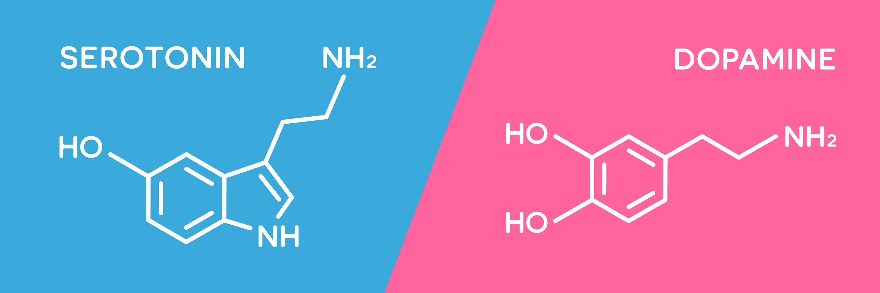 Ketidakseimbangan kadar serotonin atau dopamin dapat menyebabkan gangguan kecemasan. 