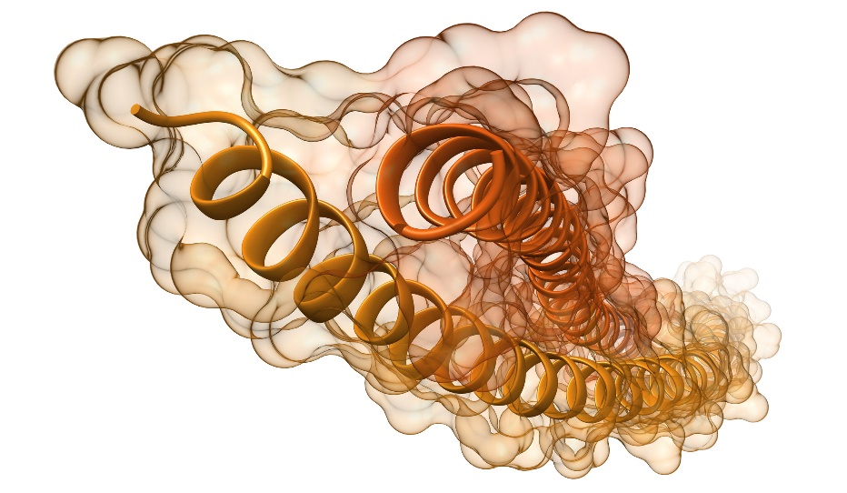 Visualisasi filamen dan heliks protein keratin