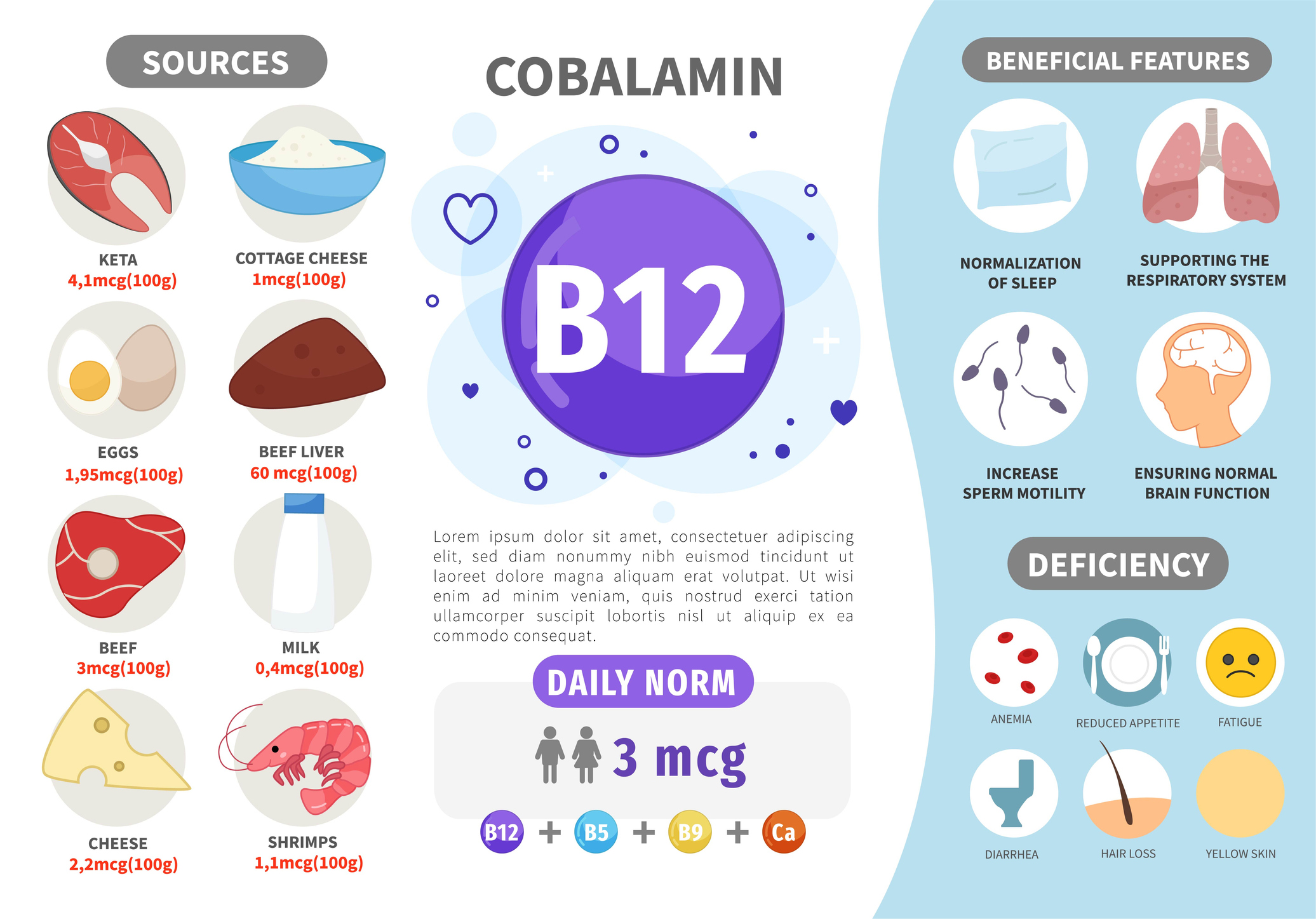 Sumber vitamin B12