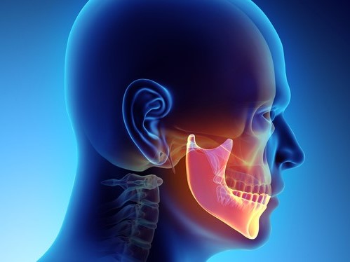 Kepala dan tampilan sendi temporomandibular