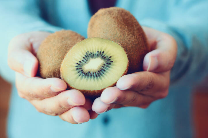 Kiwi adalah buah yang penuh dengan zat-zat obat, di mana bisa ditanam?