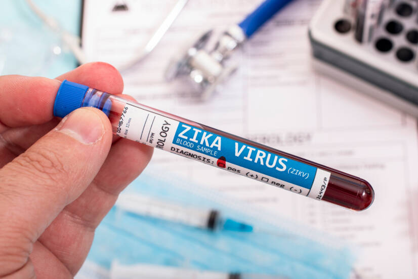 Virus Zika: apa itu, bagaimana cara penularannya dan apa saja gejalanya?