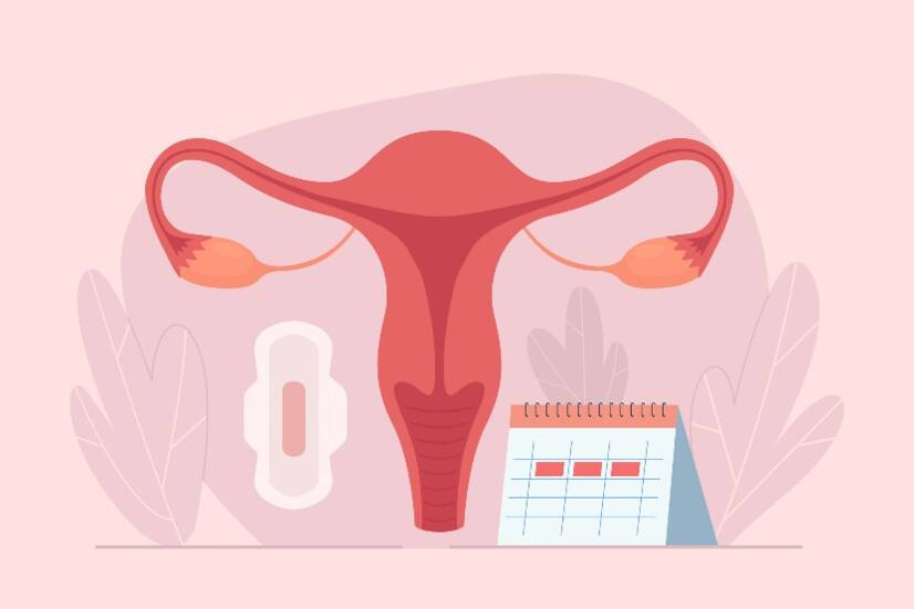 Bagaimana cara kerja siklus menstruasi? Panjang dan fase siklus + gejala